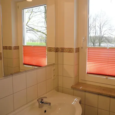 Ferienhaeuser Seewiesen Holiday home Reimershagen